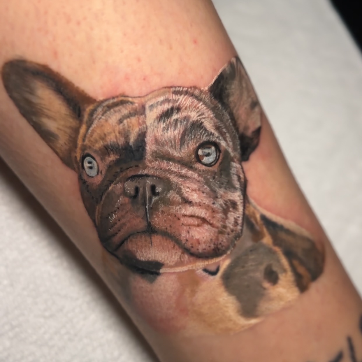 Custom tattoo by Bryn at Crafted Fate Art Collective